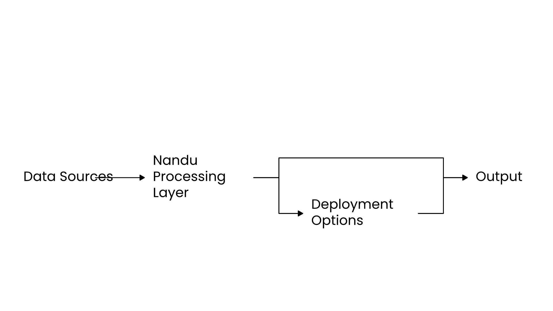 Nandu data flow: Data Sources → Processing Layer → Deployment Options → Output channels